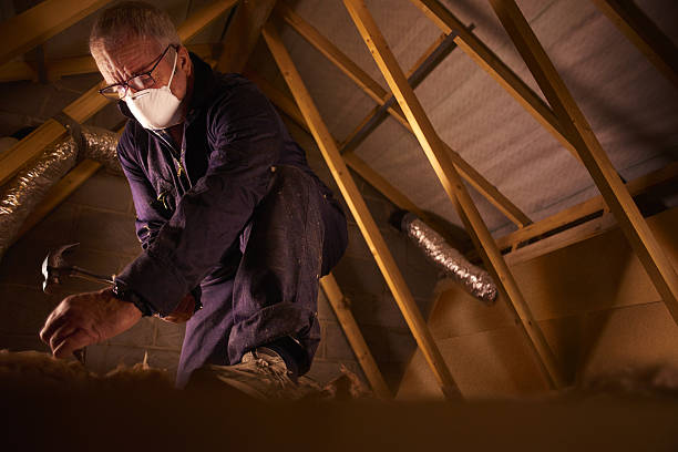 Best Insulation Installation Services in Howard, WI